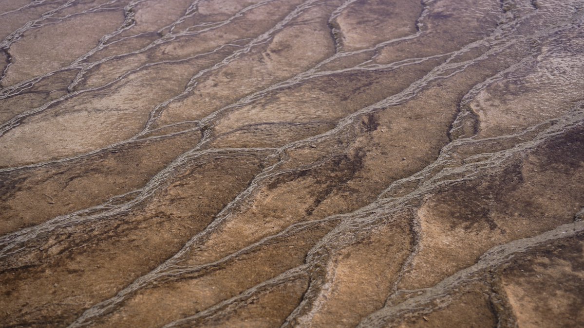 sleuthin's tweet image. Good morning, friends. ☕️

Reminder: Even the smallest streams leave their mark. Stay steady and patient. The work you put in today shapes the path you’re walking tomorrow. 🙏