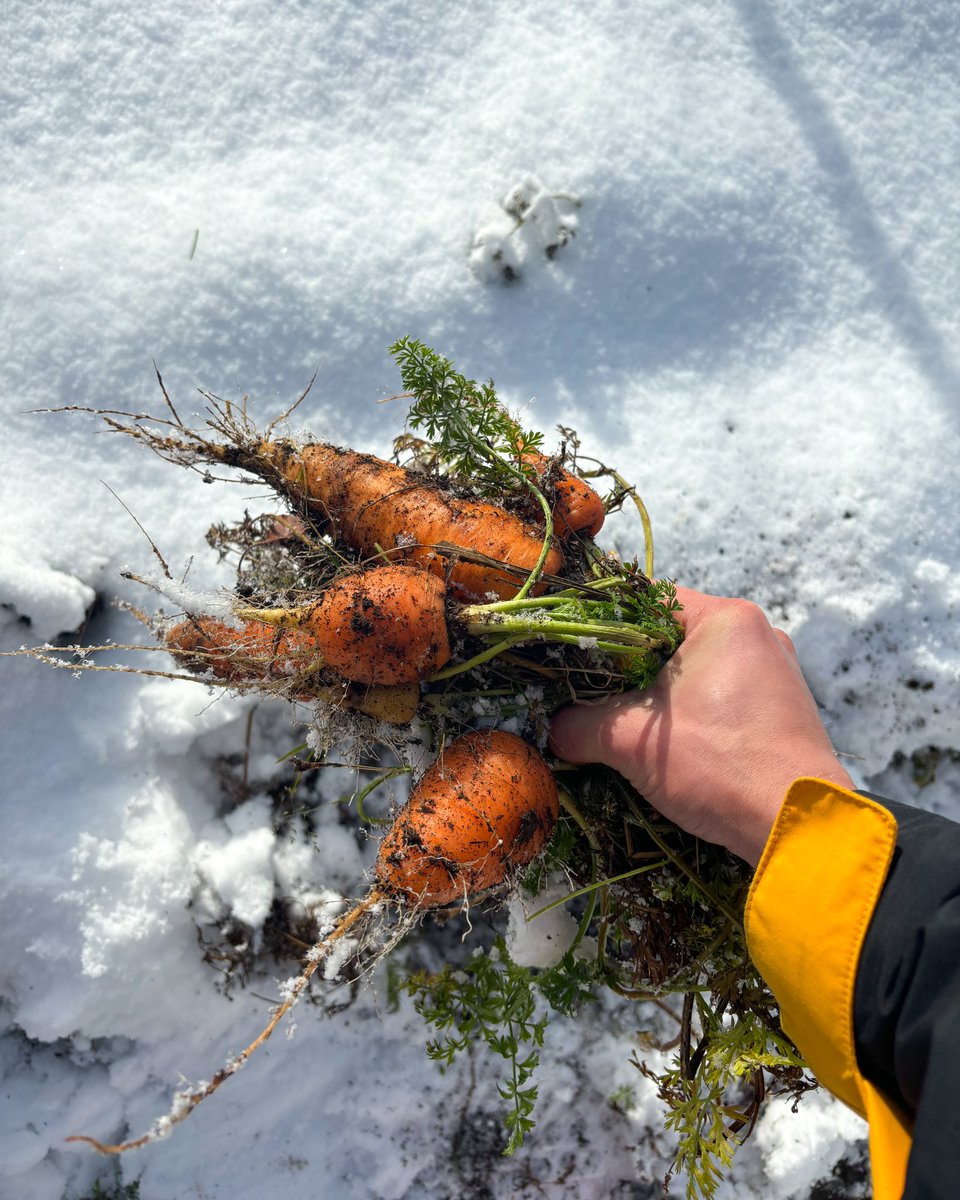 donsatamoto's tweet image. and you&apos;re arguing with bots online