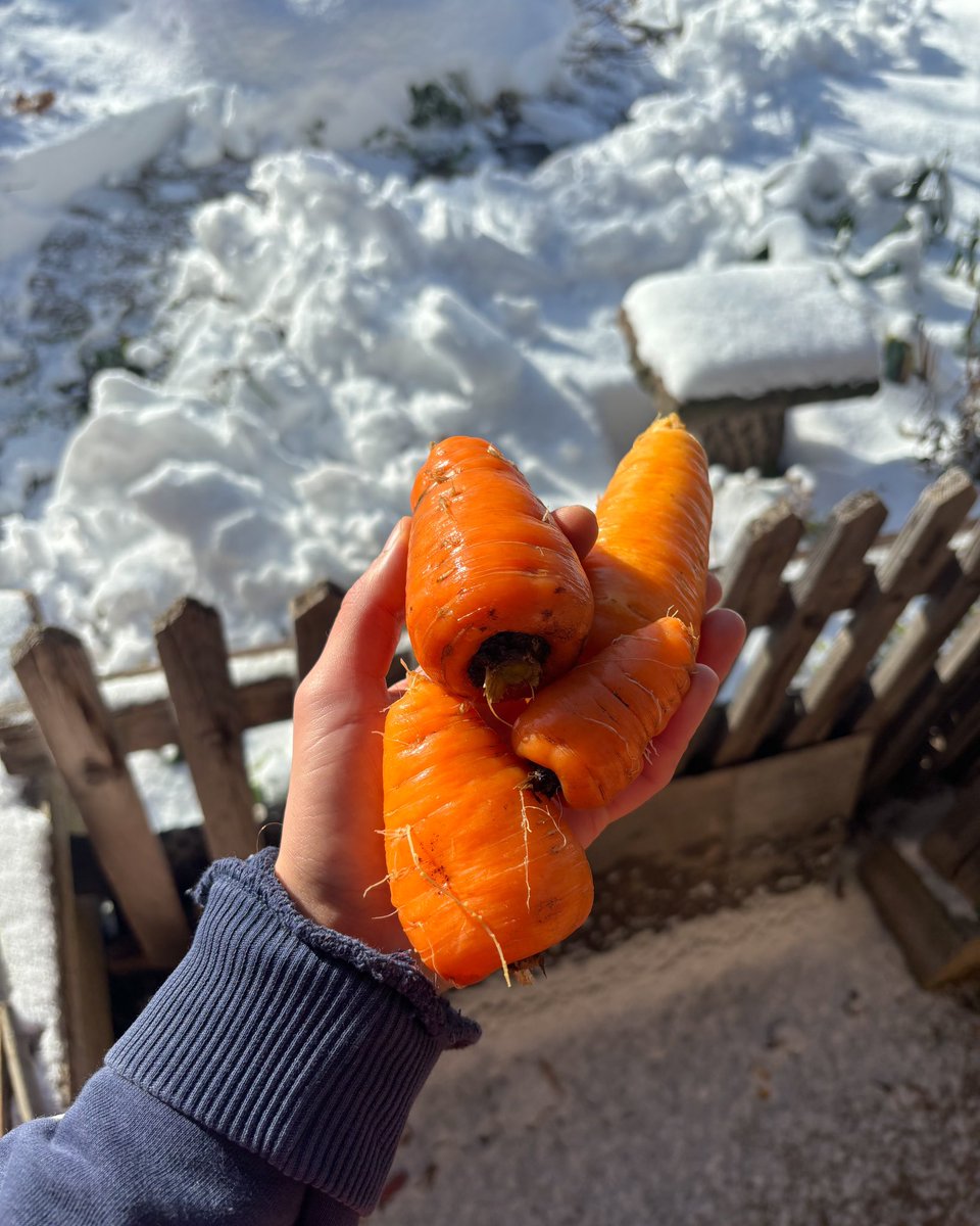 donsatamoto's tweet image. and you&apos;re arguing with bots online