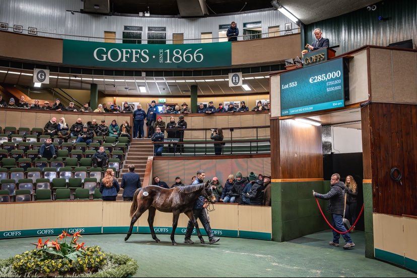 Summerhillstble's tweet photo. ✨Still absolutely BUZZING after an incredible few days at @Goffs1866 🤩 Great Buyers, the BEST of staff and Thanks to everyone who supports me year after year🙌 Special thanks to @dempsey_sarah and @kellykenny for the baked goodies ❤️Exciting times ahead ✨ https://t.co/xGWdNh6IuZ