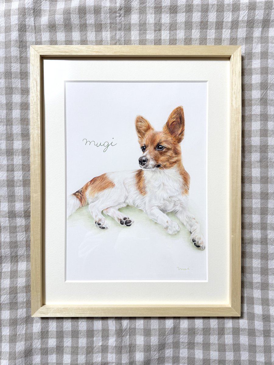 A4サイズ 色鉛筆でむぎちゃんを描かせていただきました🐶✨️ むぎ