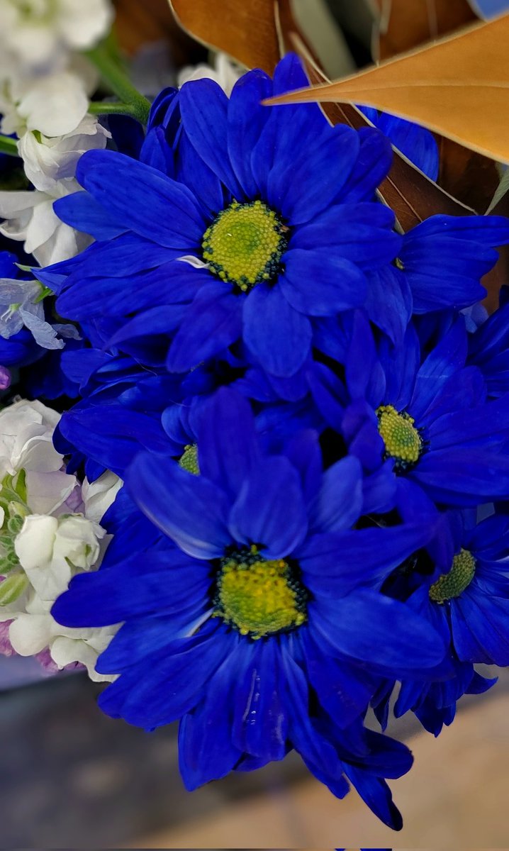 ちゅん (@aebBN6iwx957557) / Posts / X