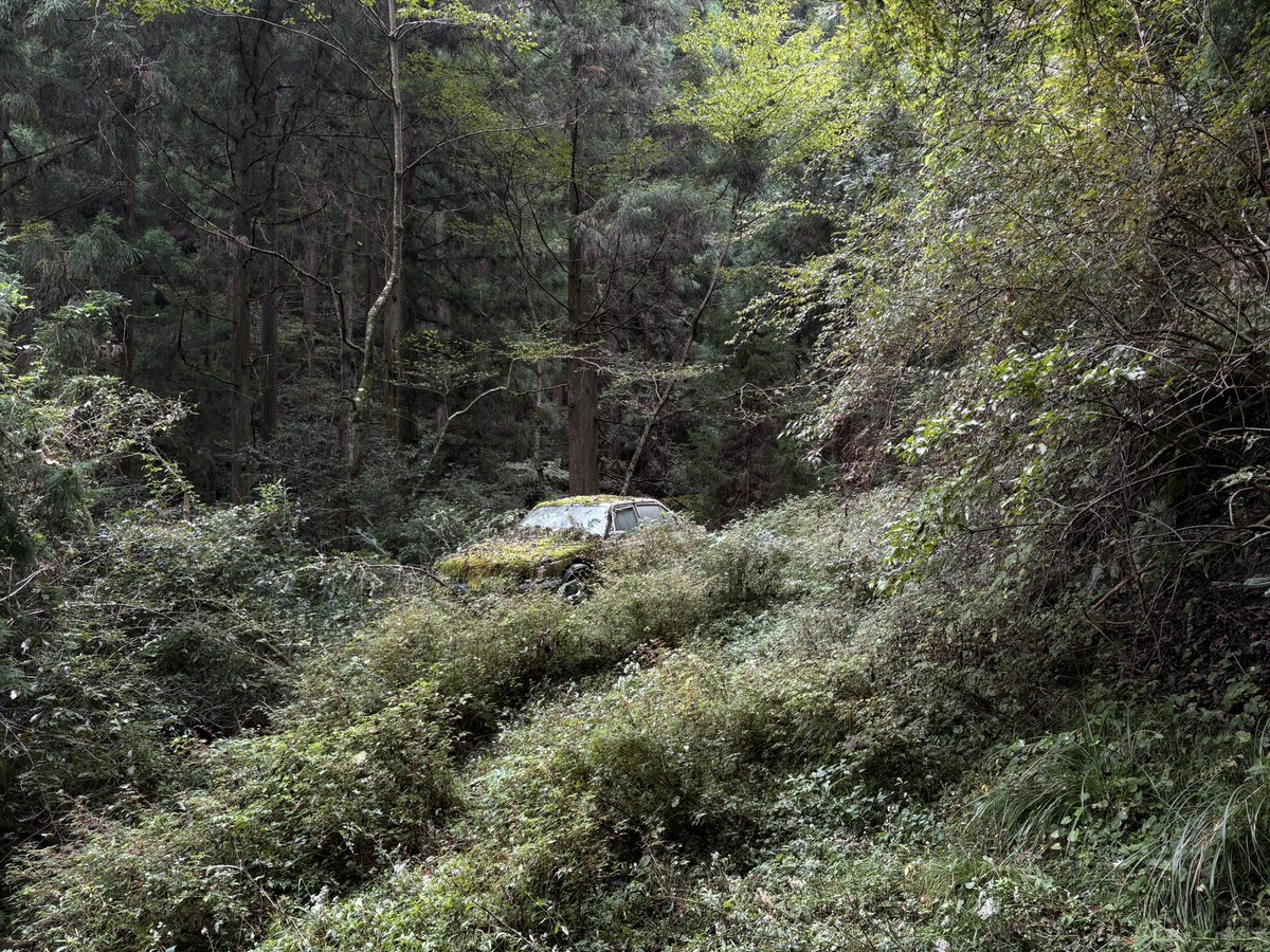 kuraina__GDB's tweet image. どっかの林道歩いてたときちょっと神秘的
トヨタのなにかわすれた