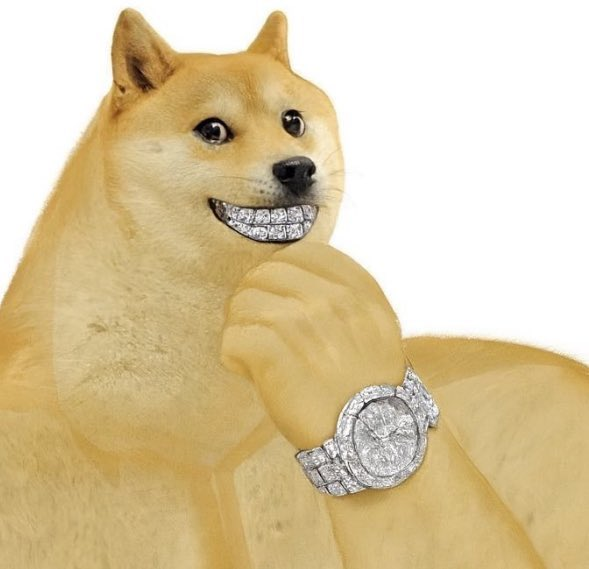 SwogeOnBonk_'s tweet image. Who&apos;s gonna tell him?