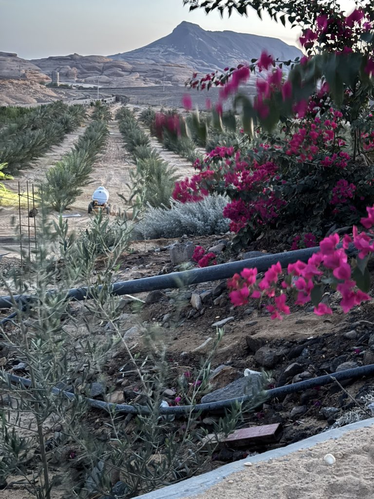 د. فهد حسن الهرفي (@dralharfi) on Twitter photo 