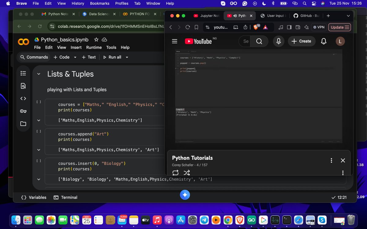 luckysolex1's tweet image. Today I spent some time @TSAcademyOnline  learning about Lists and why they are so useful and versatile. Here I want to share with you in a short thread what I learnt:

#DataScience #machinelearningpython