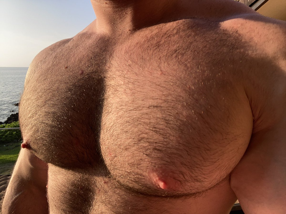 TETAS tweet media