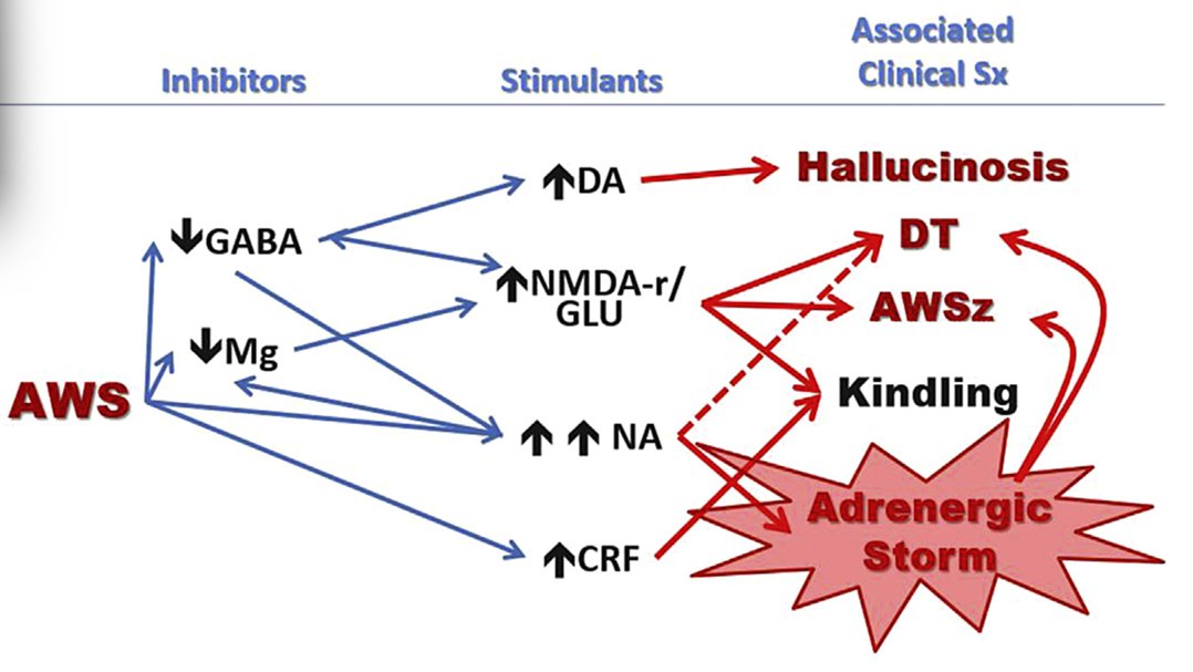 La abstinencia a #Acohol complicada con #Delirium, no debe enfocarse solo en la modulación de #GABA como única estrategia farmacológica

Utilizar meds moduladores de la cascada adrenérgica es un target fundamental

Obsoleto llamarlo #DeliriumTremens

solanomd.com/uploads/3/4/1/…