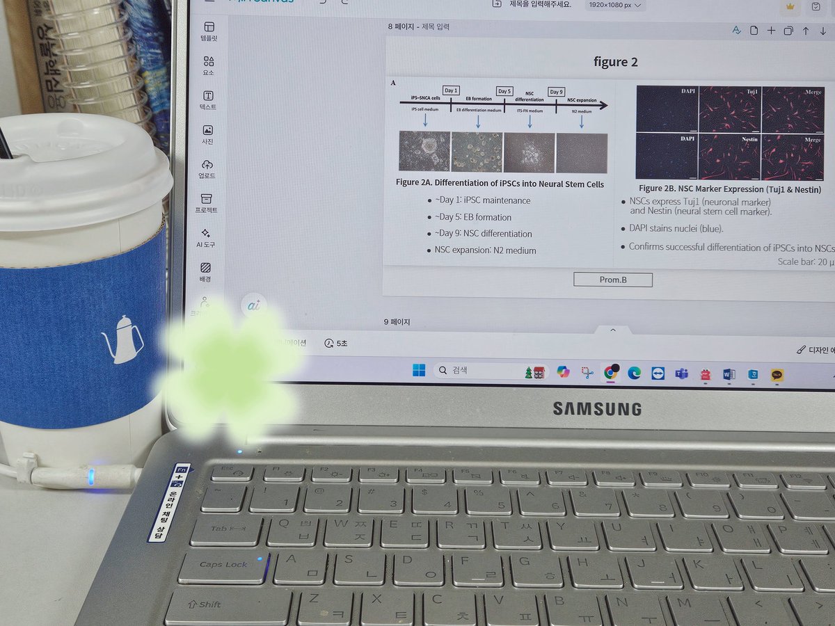 studystudyday's tweet image. 학술제 준비하고 공부..🙉