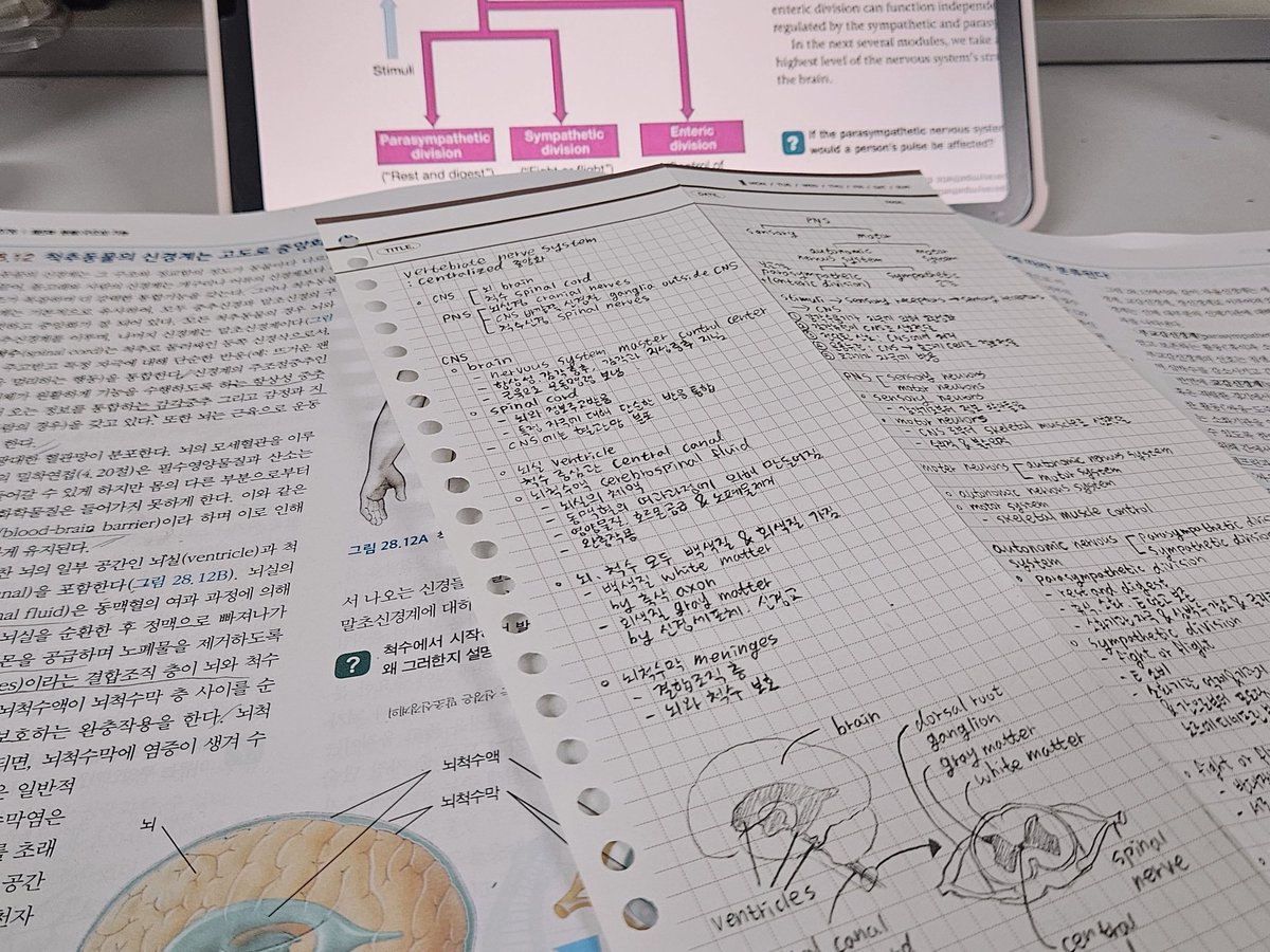 studystudyday's tweet image. 학술제 준비하고 공부..🙉