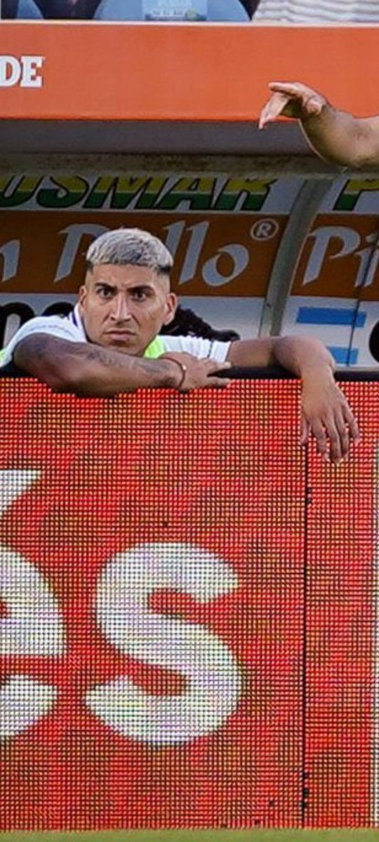 DEL LOBO Y 🇦🇷 tweet media