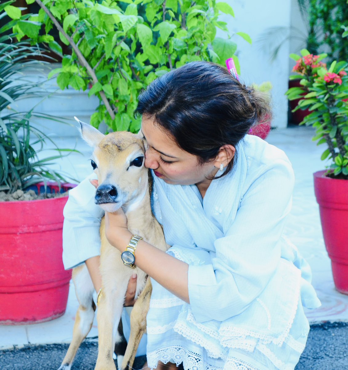 AsmitaLal17's tweet image. “Until one has loved an animal, a part of one’s soul remains unawakened.”