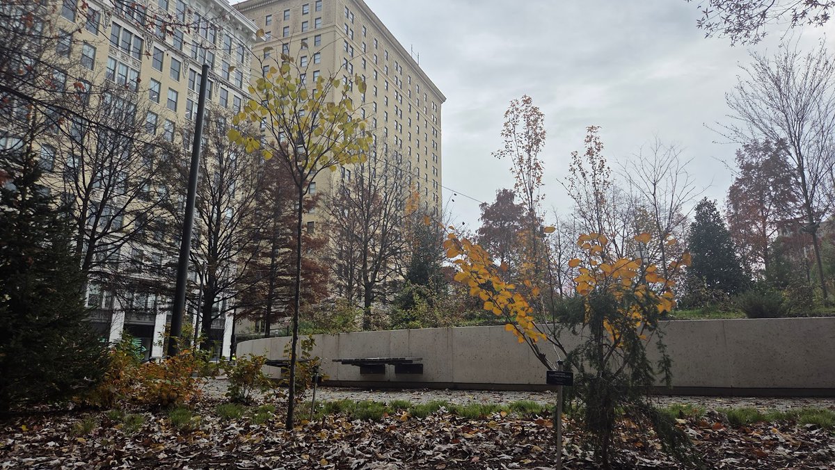 allhopeissean's tweet photo. Big fan of the microforest with fall colors https://t.co/YoJ47LjSZq