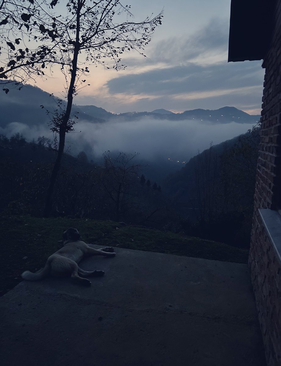 Yine bir akşam üstü geldi aklıma..