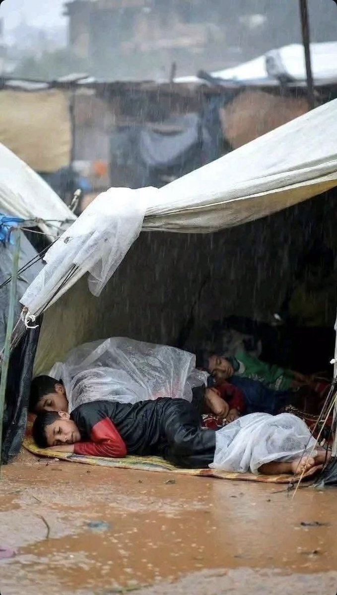 Naîm نَعِيم (@naim_eyyubi) on Twitter photo 