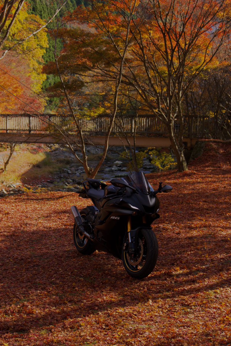 kuromaru_gram2's tweet image. 秋感じてきた
バイク撮るのに必死で私映るの忘れてた草