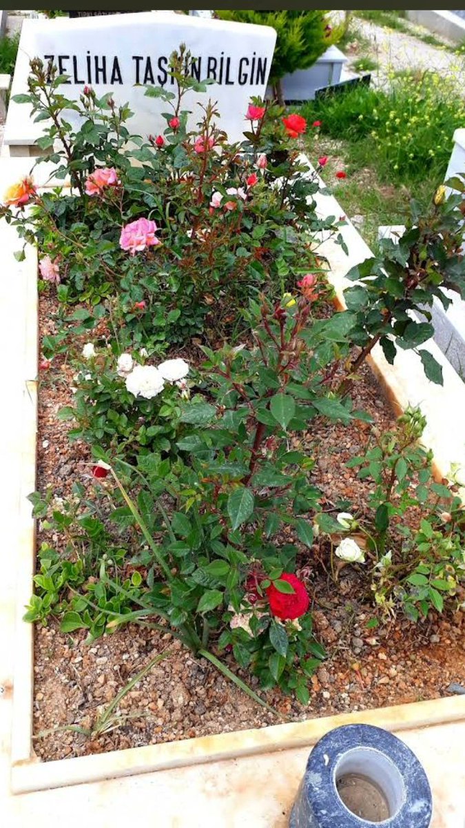 Öğretmen olmak gerçekleştirdiği en güzel hayaliydi