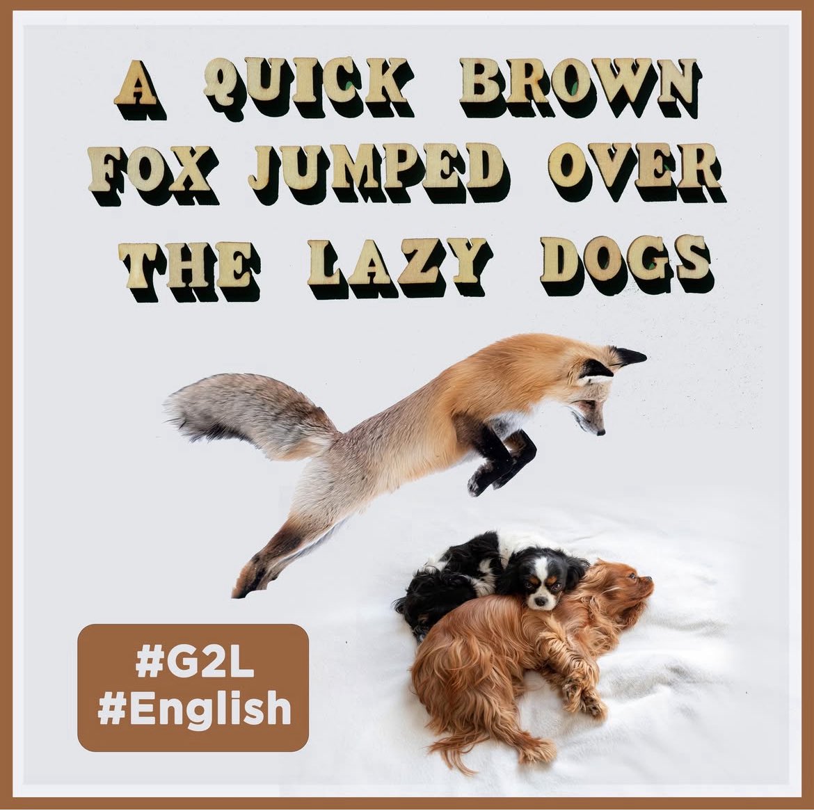 good2learninfo's tweet image. &quot;The quick brown fox jumped over the lazy dogs&quot; is a pangram, which is a sentence that contains every letter of the alphabet at least once. 🚀
We love English at Good2learn! Follow us for updates, tips, and more!

#itsgood2learn  #OnlineLearning #MathSkills #EnglishSkills #school