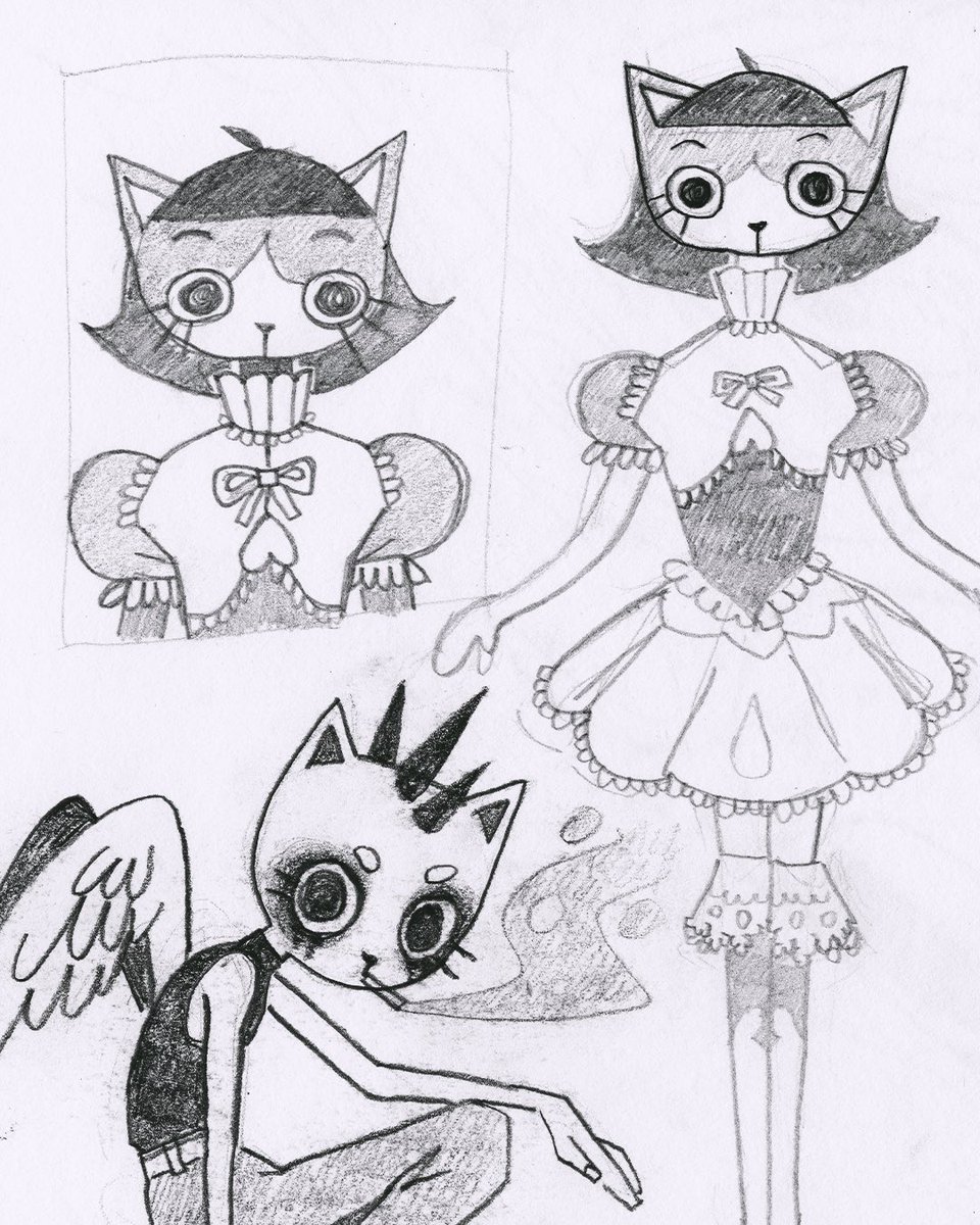 gato sobrancelha descolorida e gato meio bicha