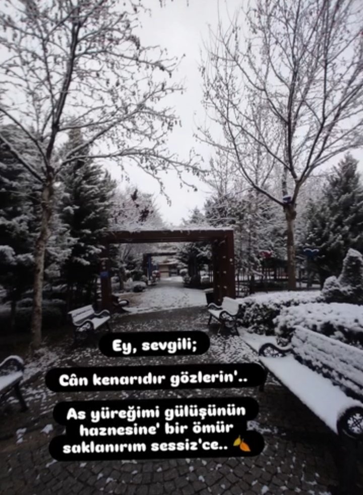 Garibe Taş tweet media