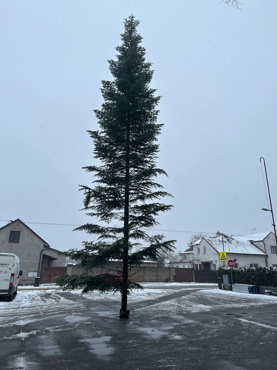 Jiří Sodoma tweet media