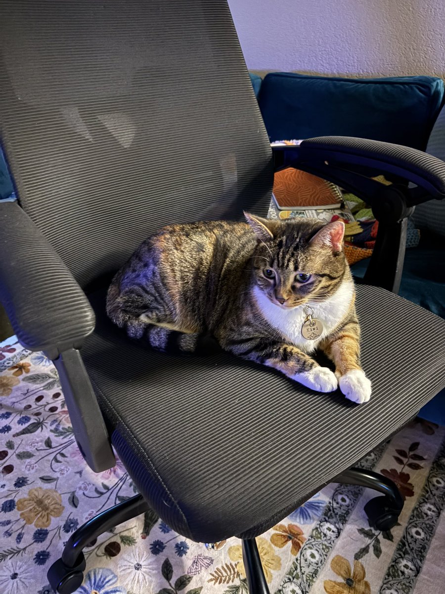 Kiwi_9908's tweet image. Kiwi is affectionately called:

Kiwi
Ms. Wi
Keys
Keezi
Weesa
Ms. Thing