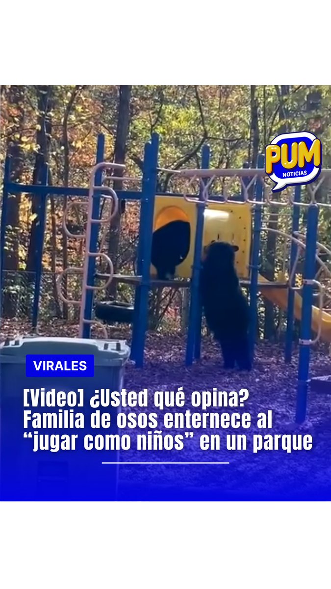 MINUTOPEREIRA's tweet image. #Virales | ¿Usted qué opina?
Una escena inusual y llena de ternura se volvió viral luego de que una familia de osos fuera captada mientras jugaba en un parque infantil.

#Animales #Osos #AnimalesDivertidos #Viral