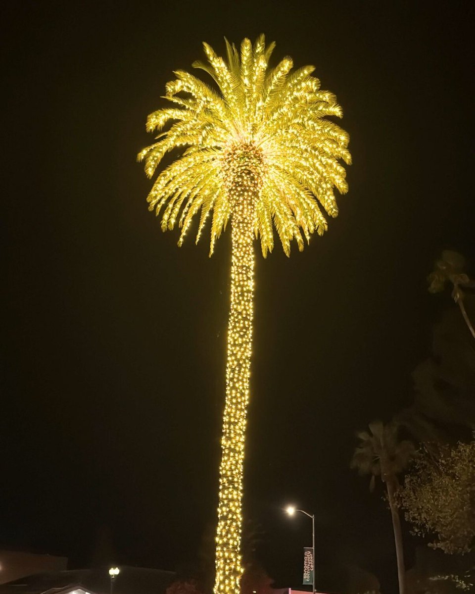 RepThompson's tweet image. Grateful to join our neighbors, local leaders, and @Sonoma_Valley  for their annual lighting ceremony. It’s always a joy to welcome in the festive season while we celebrate our community and support small businesses. Happy holidays, Sonoma!
