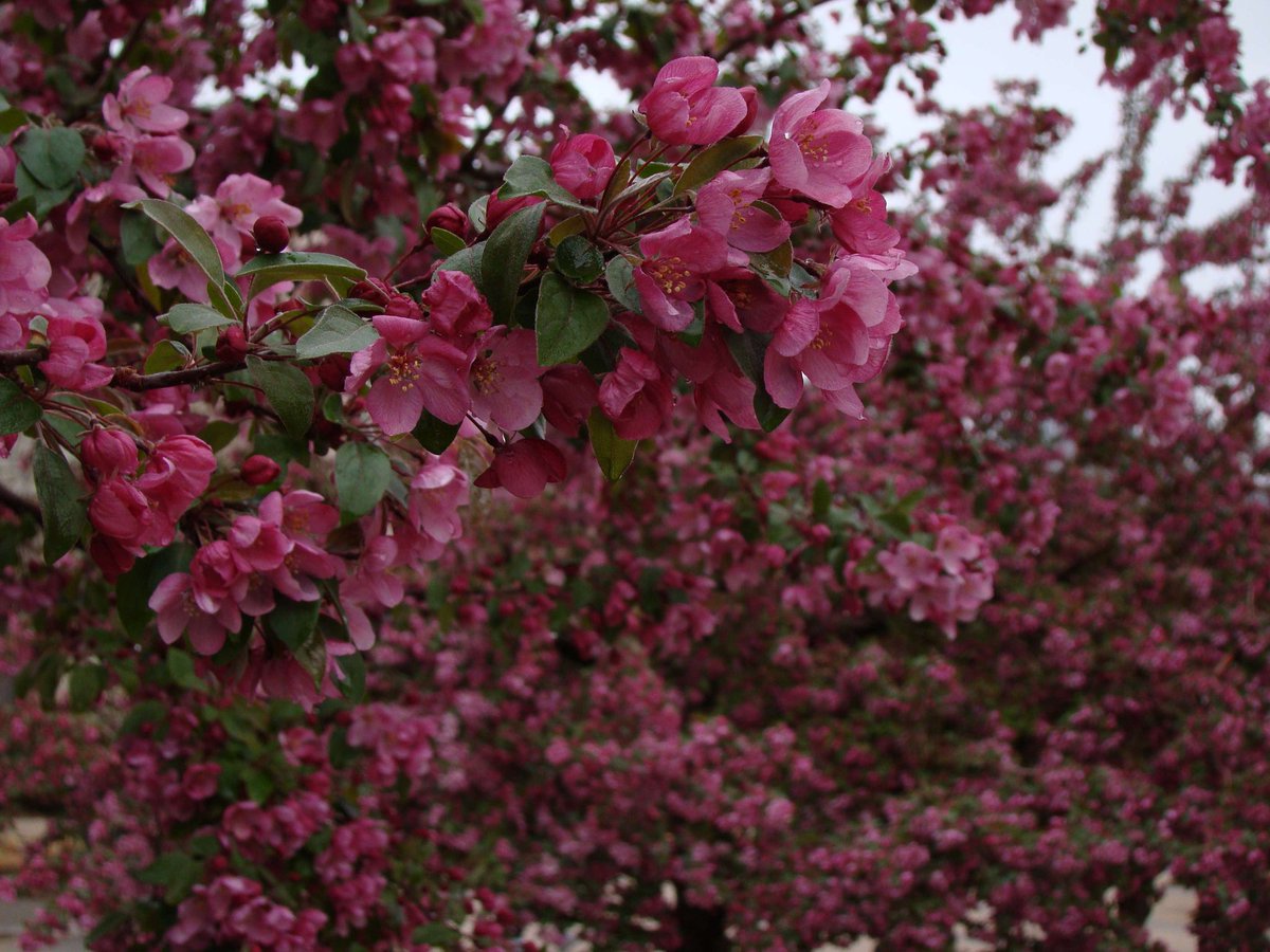 Post a picture YOU took. Just a pic. No description.