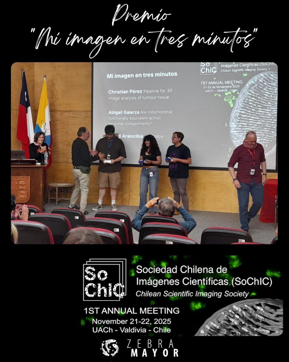 Zebramayor tweet media