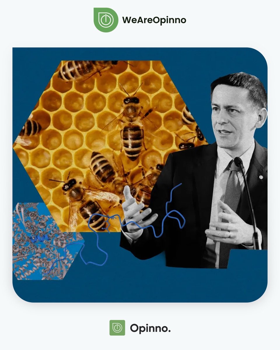 opinnoitaly's tweet image. 🧬 Il futuro di #AlphaFold: una conversazione con un premio #Nobel di #Google #DeepMind. 

&quot;Sarei molto sorpreso se non vedessimo un impatto sempre maggiore dell&apos;#LLM sulla #scienza&quot;, afferma #JohnJumper. 

Leggi l’articolo 👇 
tinyurl.com/5a9sanwd