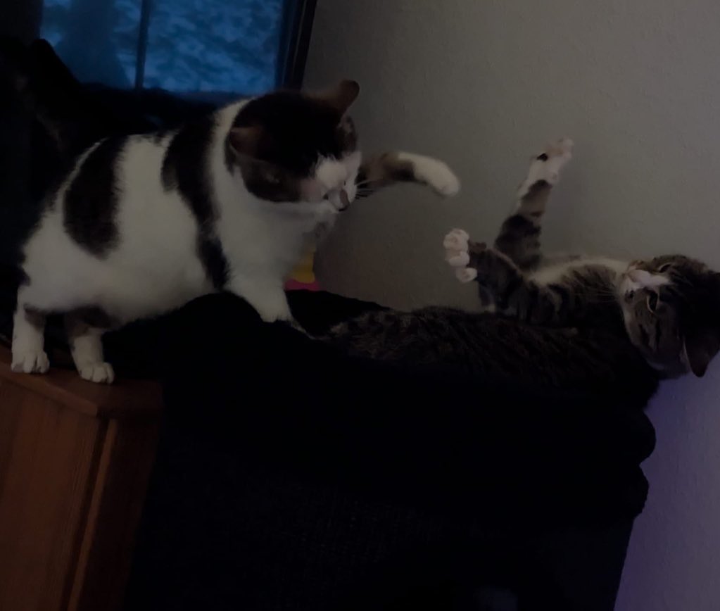 kratztonne steht keine stunde schon wird sich um den besten platz gestritten