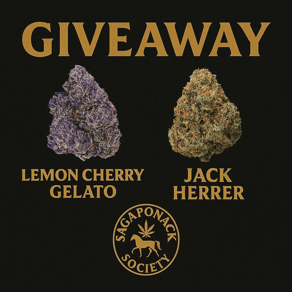 TheJokersVIBE's tweet image. AYOOO we back at it with another X giveaway I&apos;m collabing with @Sagaponacksoc to give away some Lemon cherry gelato and jack herrer
Four easy steps to follow:

Like the post
Follow @Sagaponacksoc &amp;amp; myself @TheJokersVIBE 
Repost this post 
Tag 3 friends 

This giveaway will go…