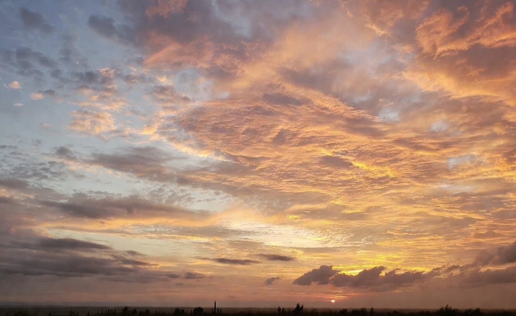 GM CT/Web3 Fam ☀️

Today I’m protecting my peace like it’s the last asset I own.

No doomscrolling.  
No replying to energy vampires.  
Only moves that compound.

Discipline = freedom  
Silence = strength  
Focus = wealth

Day 1 or Day 1,000,001 we don’t break the chain.

Let’s