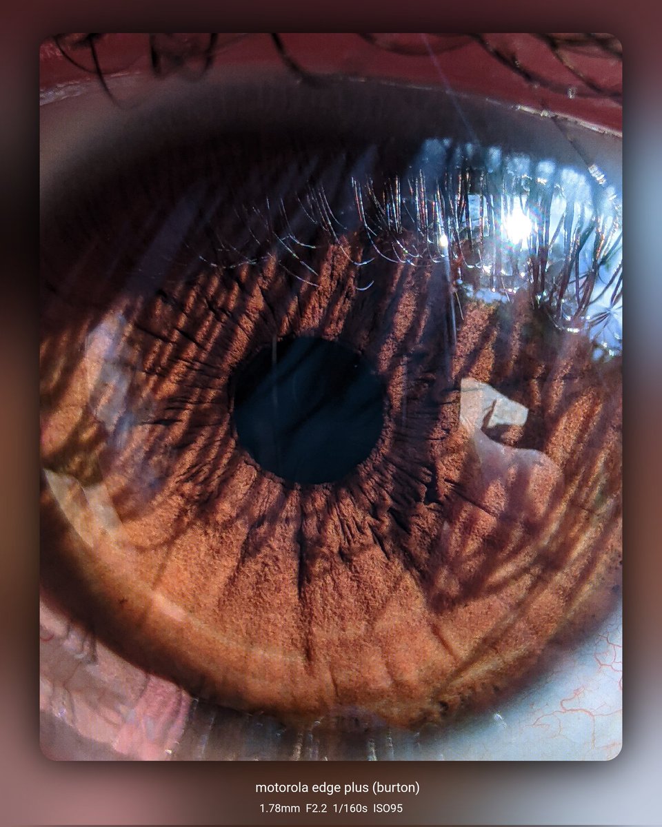 Coffee & Tech☕ tweet media