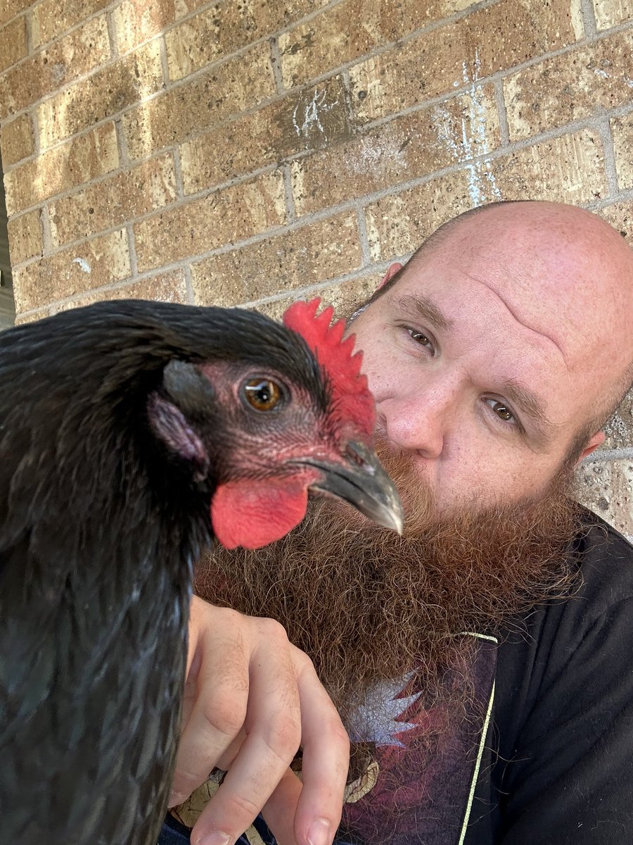 davedecimation's tweet image. Some times it’s nice to take a break. Happy is in a good mood.