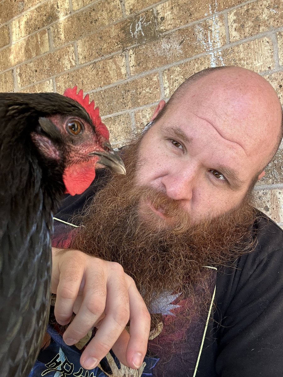 davedecimation's tweet image. Some times it’s nice to take a break. Happy is in a good mood.