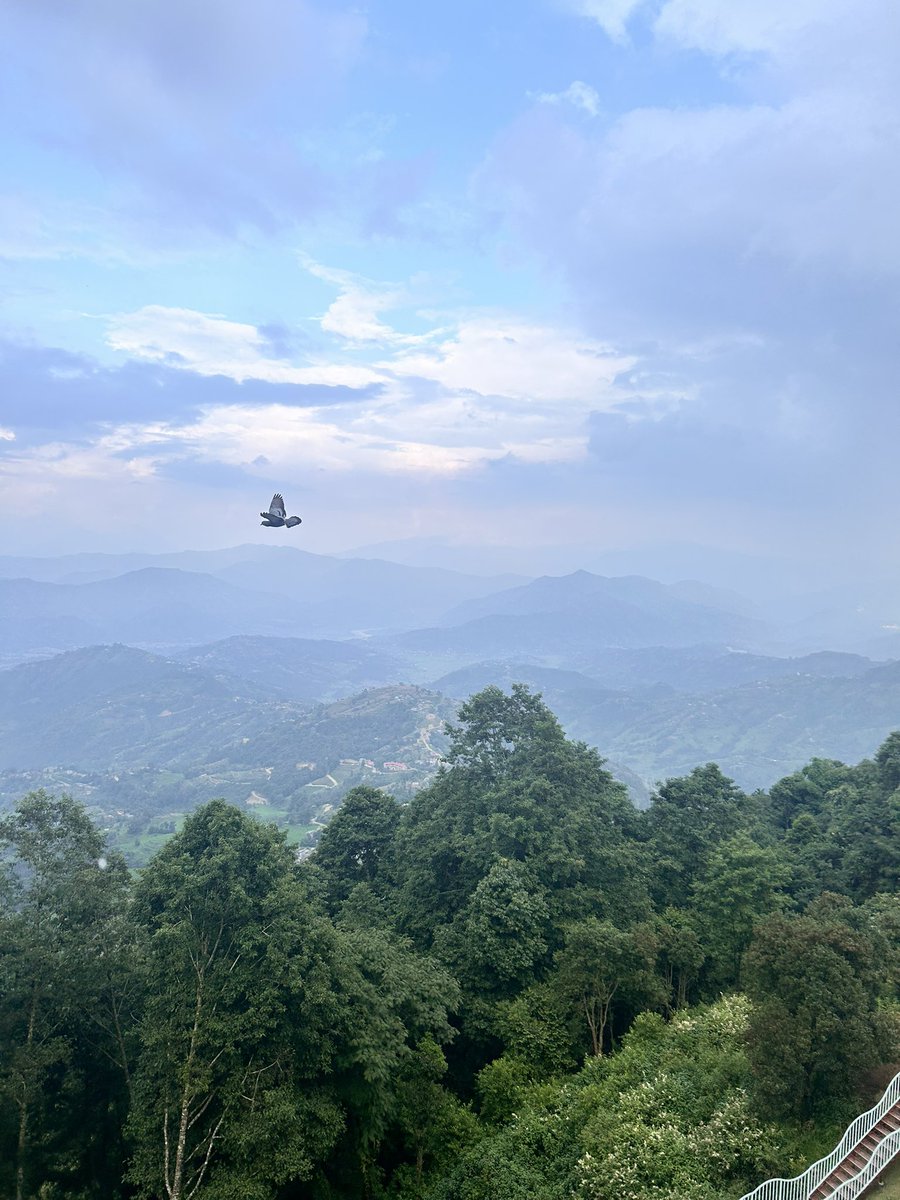 Your mind wants someone 
to agree or disagree. 
Silence neither agrees nor 
disagrees — It is.

Osho
(Zen: The Path of Paradox)