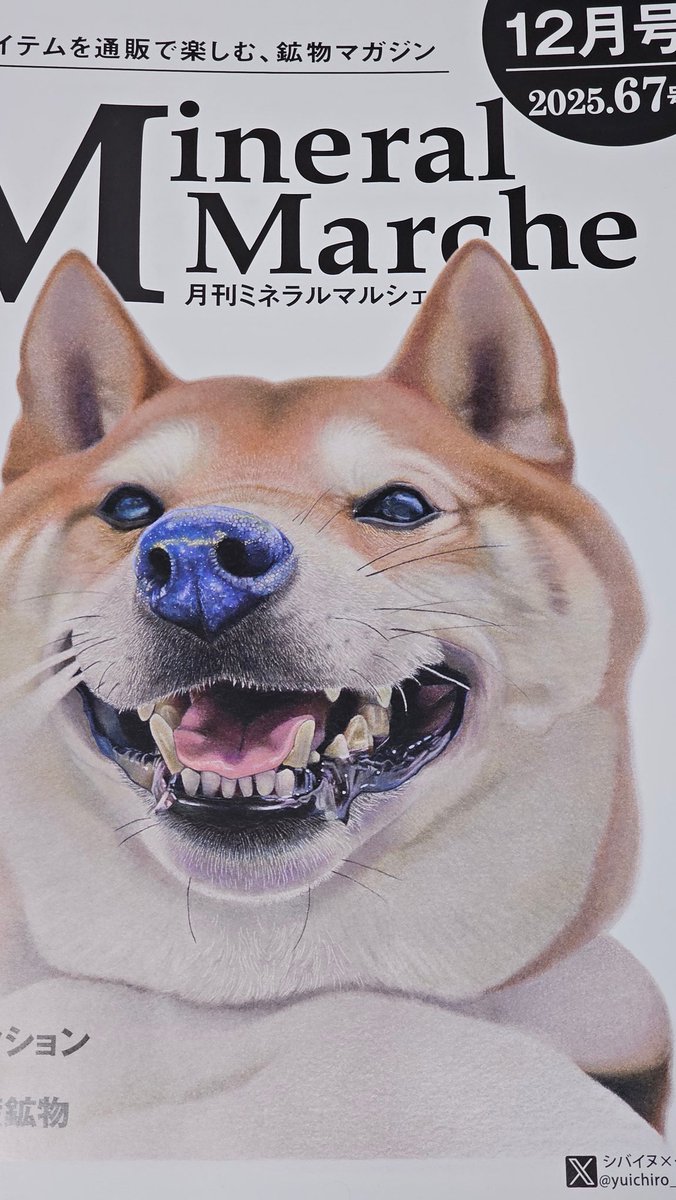 #月刊ミネラルマルシェ 届きました！
読むのが楽しみです🐶
#ミネラルマルシェ公認V