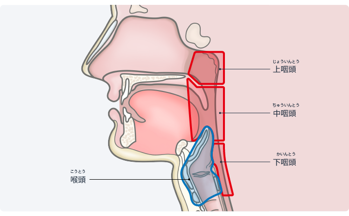 ICHIsoro0331's tweet image. 鼻腔共鳴の使い所と落とし穴
〜ポップスでの立場はどこにあるべきか〜

「鼻にかけて歌えって言われたからやってるけど…鼻声になる」
「響いてるのに、軽くて芯がない」
「高音の出し方でアドバイスされたのに、当てようとすると、喉が苦しい」

→これ、全部「鼻腔共鳴の落とし穴」です。…