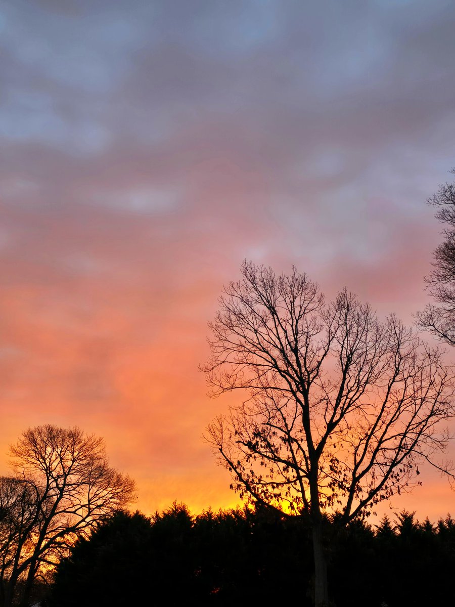 the colors of morning 🌅🐦