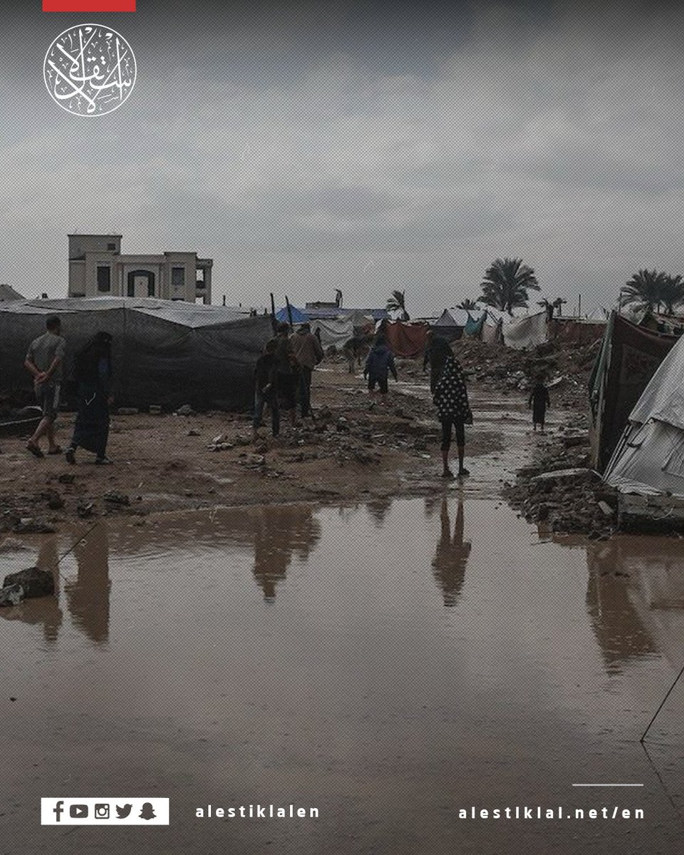 alestiklalen's tweet image. Palestinian families in central Gaza continue to suffer as rainfall once again floods the fragile tents of displaced residents in al-Bureij camp. With no proper shelter and worsening winter conditions, thousands face unbearable hardship.

#Gaza #Bureij #Displacement
