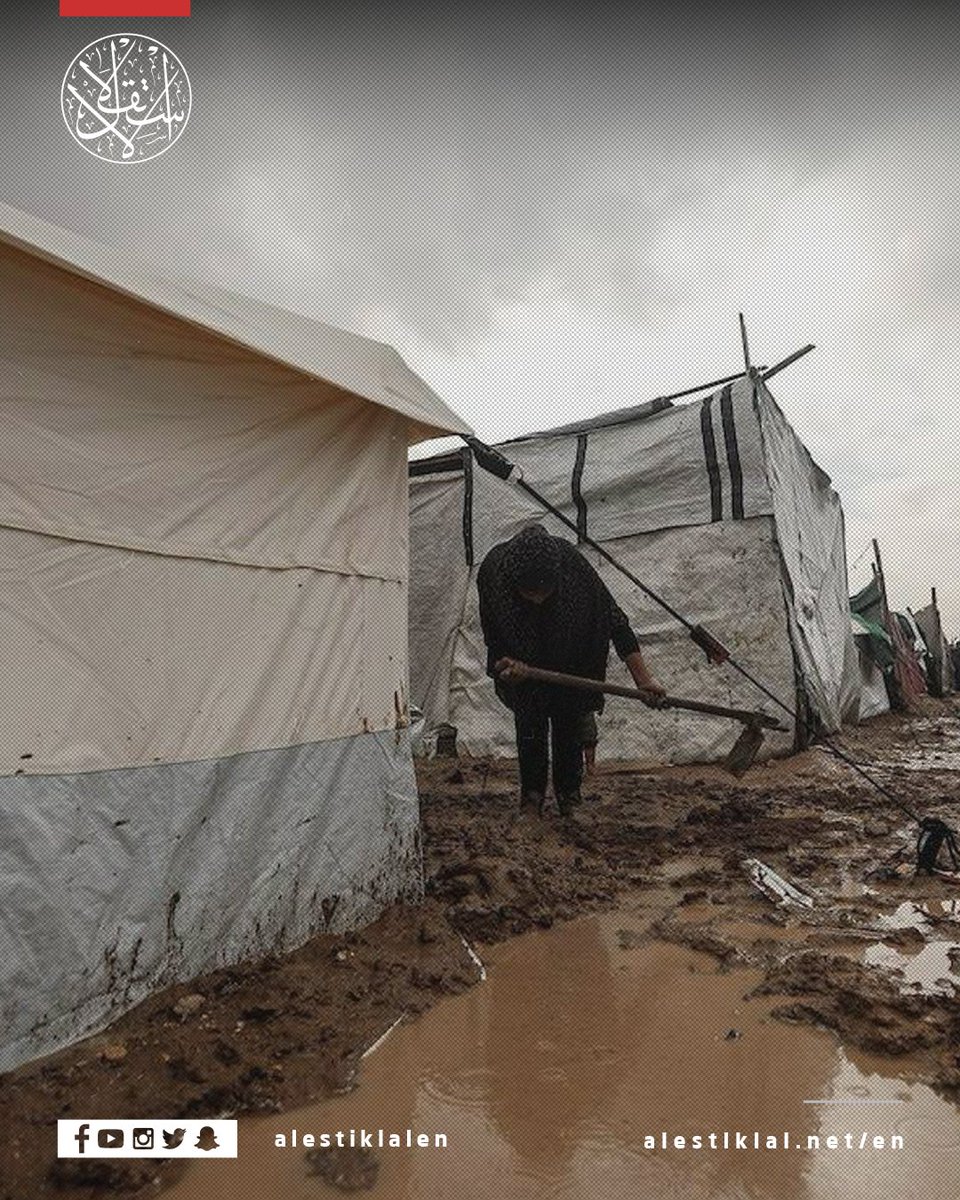 alestiklalen's tweet image. Palestinian families in central Gaza continue to suffer as rainfall once again floods the fragile tents of displaced residents in al-Bureij camp. With no proper shelter and worsening winter conditions, thousands face unbearable hardship.

#Gaza #Bureij #Displacement