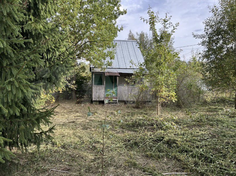 Многие из вас знают, как я мечтала уехать на дачу и больше никогда не быть онлайн… так вот теперь я смогу это сделать!!!