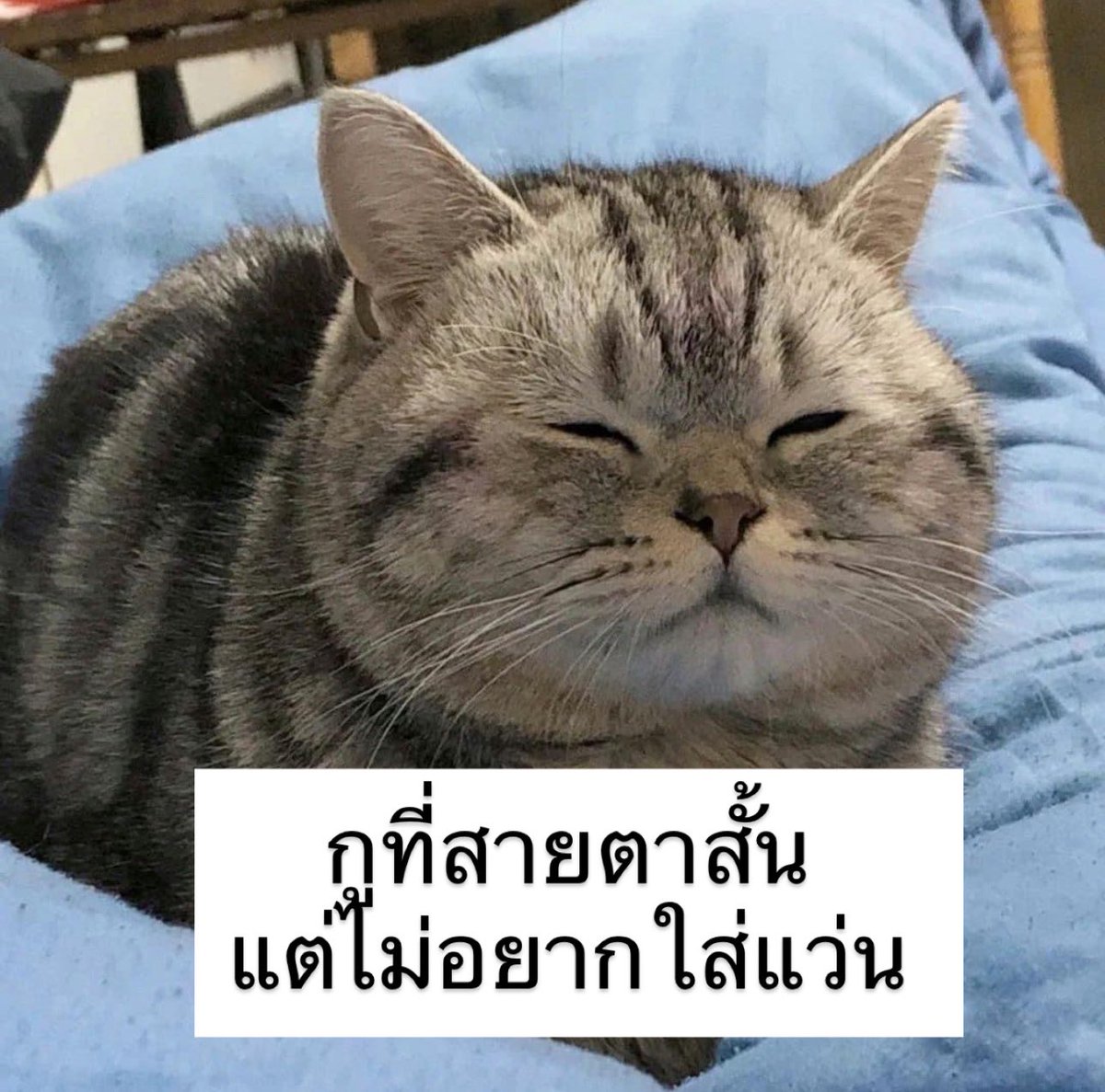 sfkkfs_'s tweet image. ถูกจ้าาา 5555555555555