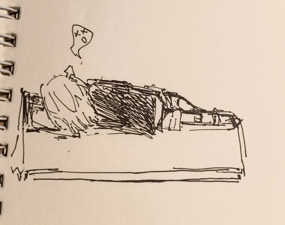 BinhchilingTran's tweet image. #Eve家 aira