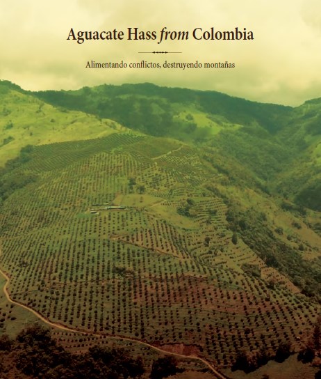 El #aguacathass destruye montañas. Eso dice el informe nacional sobre los impactos de la agroindustria del aguacate hass en Colombia, "Aguacate hass from Colombia - Alimentando Conflictos destruyendo Montañas", publicado recientemente.

ecogenova.home.blog/2025/11/25/inf…