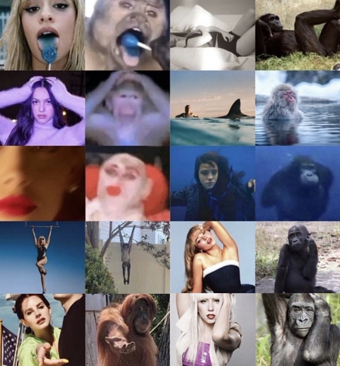 doctorTeeTee's tweet image. pop girls as monkeys 😭