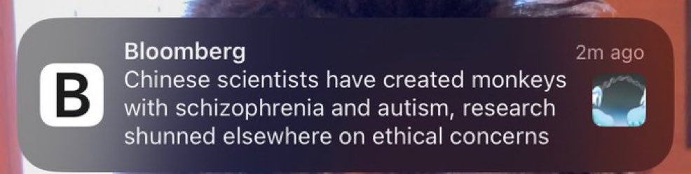 ModeratelyMused's tweet image. I moved one into my house like 2 years ago, the Chinese have been on this bullshit for a minute