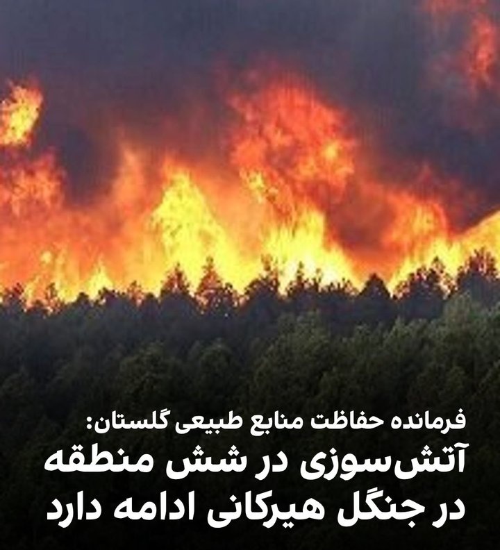 ARDESHIR005's tweet image. نتنها آتش جنگل‌های #هیرکانی رو خاموش نکردن بلکه 
جنگل‌های #بلوط‌ ایلام 
و #قره‌داغ آذربایجان شرقی
و جنگل #گلستان رو هم به آتش کشیدن
جنگل نفس ماست، دارن نفس ایران رو میبرن
ملت بیدار شید
دوستان من اکانتم شادوبن شد ایمپرشن ندارم
شما که اکانتتون نرماله لطفا بنویسید: #ایران_سوخت